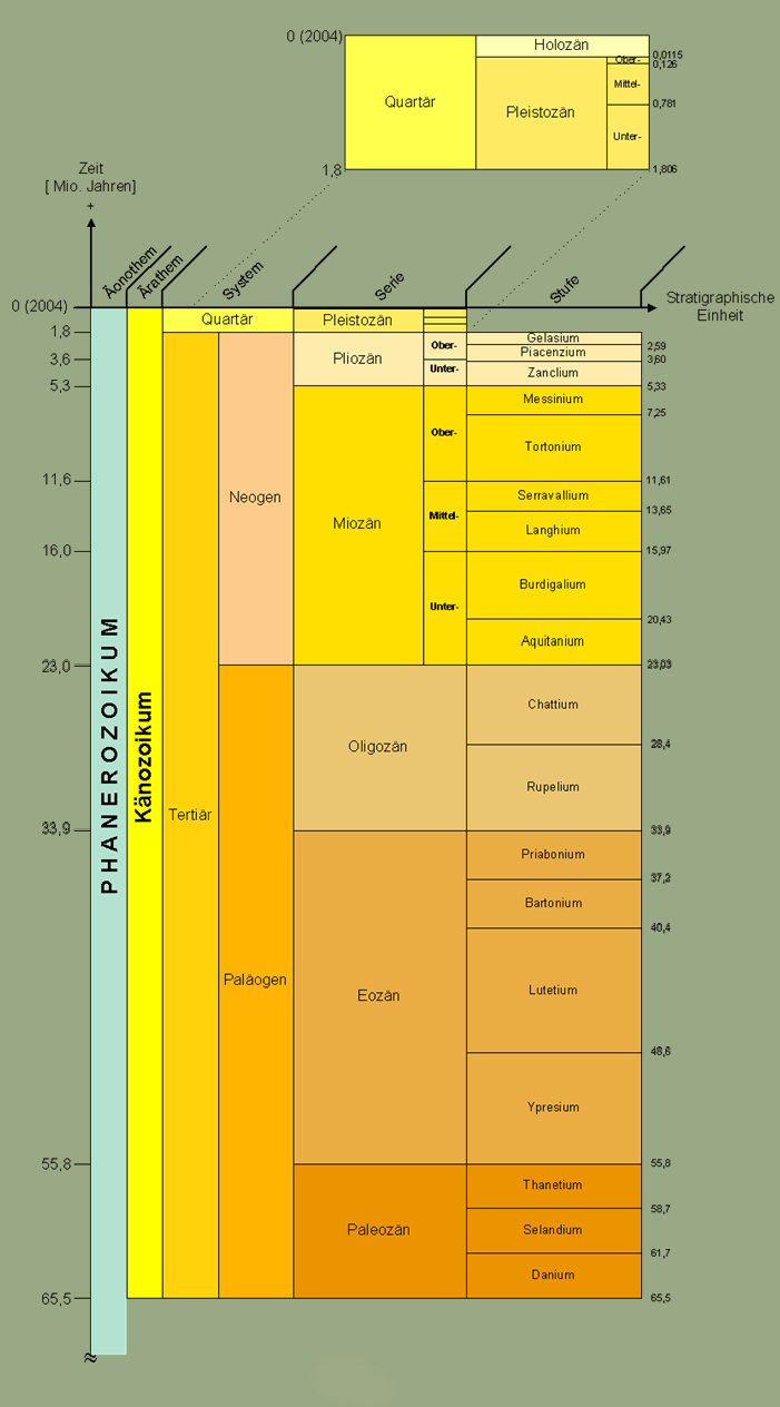 Chronostratigraphische Darstellung Knozoikum