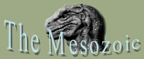 Logo Mesozoic