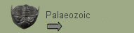 To the Palaeozoic