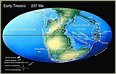 Map Early Triassic