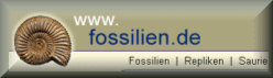 Snapshot fossilien.de