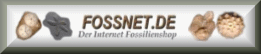 Logo fossnet.de