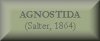 Button Trilobiten Agnostida