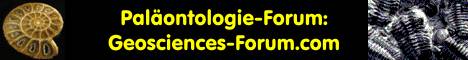 Geosciences-Forum.com: Forum rund um die Geowissenschaften
     	(Geographie, Geologie, Geophysik, Meteorologie, Mineralogie, Paläontologie...)