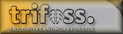 Logo trifoss.de